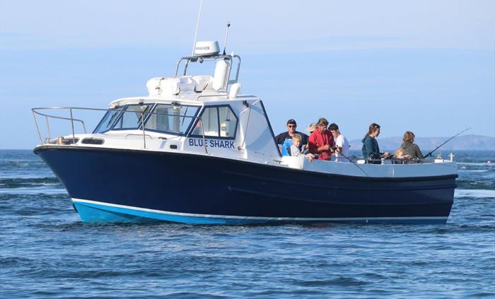 Blue Shark fishing off Strumble Head